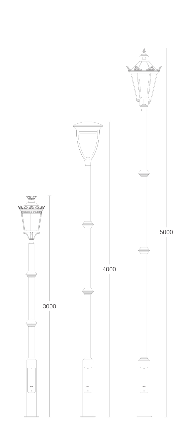 Chinar - dimensional drawing